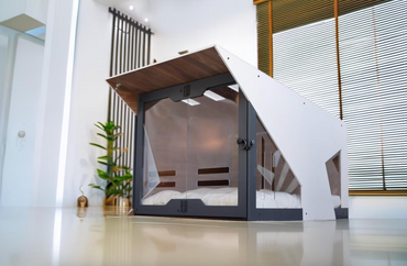 Master White Dog House