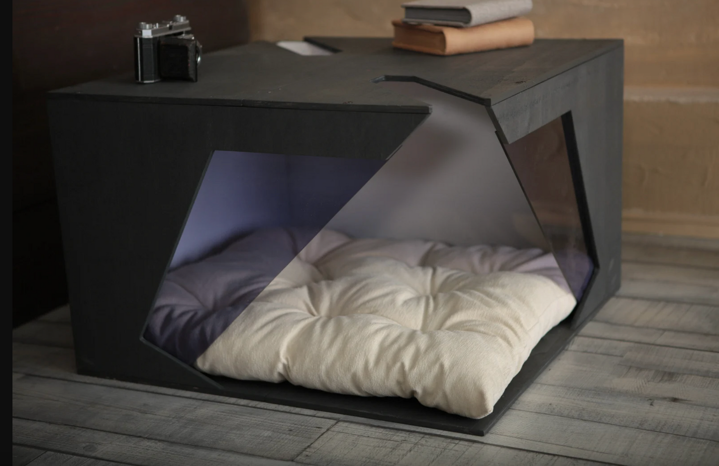 Modern Doorless Dog House